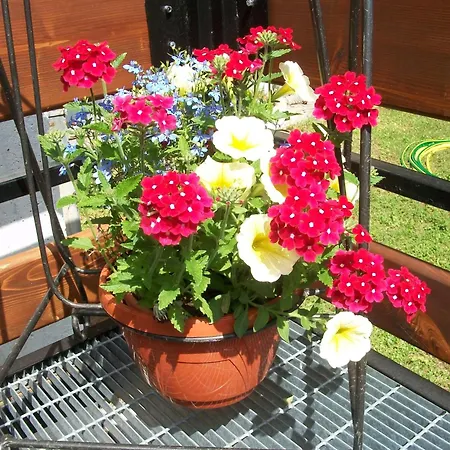 酒店 卡尔多瓦酒店 3*