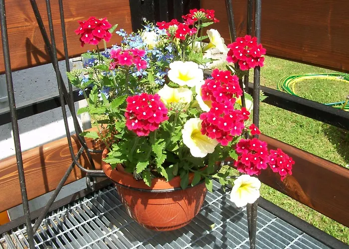 Отель Caldora 3*